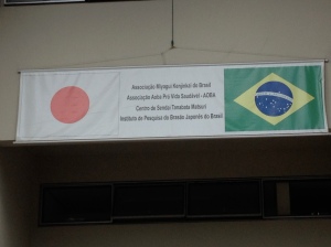 Japan and Brazil 